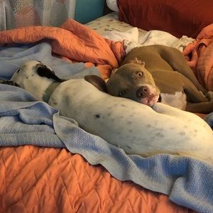 Meet your Posher, Brandy